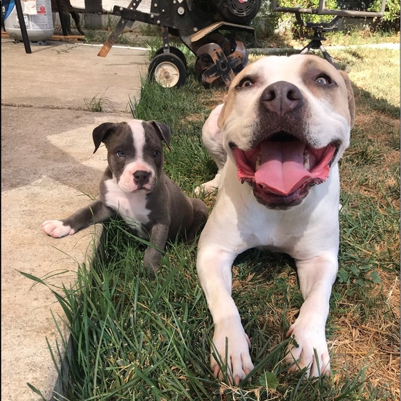 Meet your Posher, Jenny - Picture 4 of 9